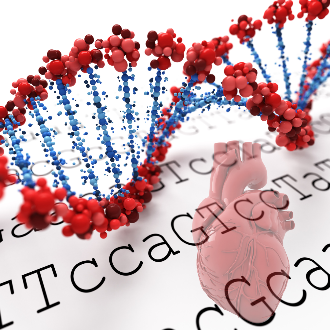 cardiopatias genéticas